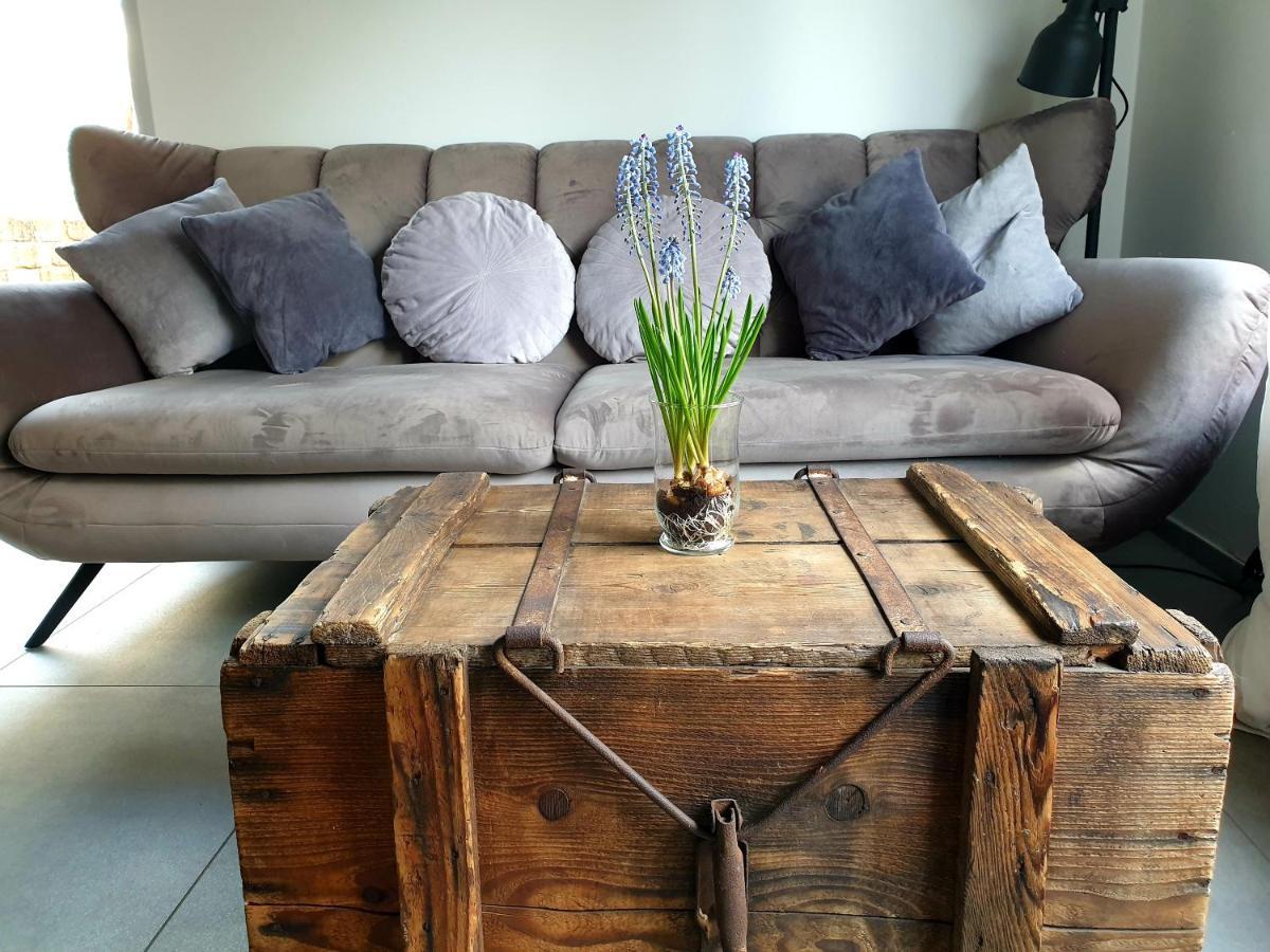 Zur Alten Rebe Ferienhaus Und Weingut كونز المظهر الخارجي الصورة