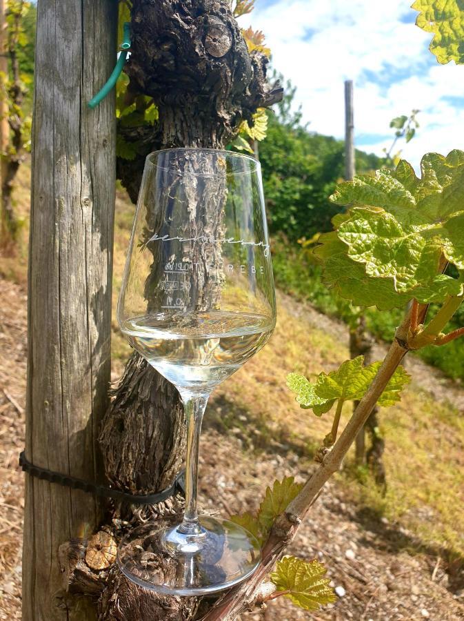 Zur Alten Rebe Ferienhaus Und Weingut كونز المظهر الخارجي الصورة