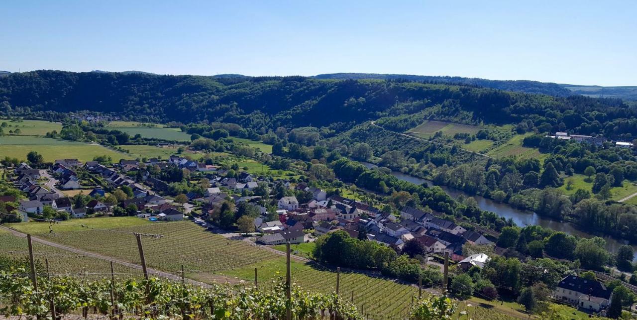 Zur Alten Rebe Ferienhaus Und Weingut كونز المظهر الخارجي الصورة