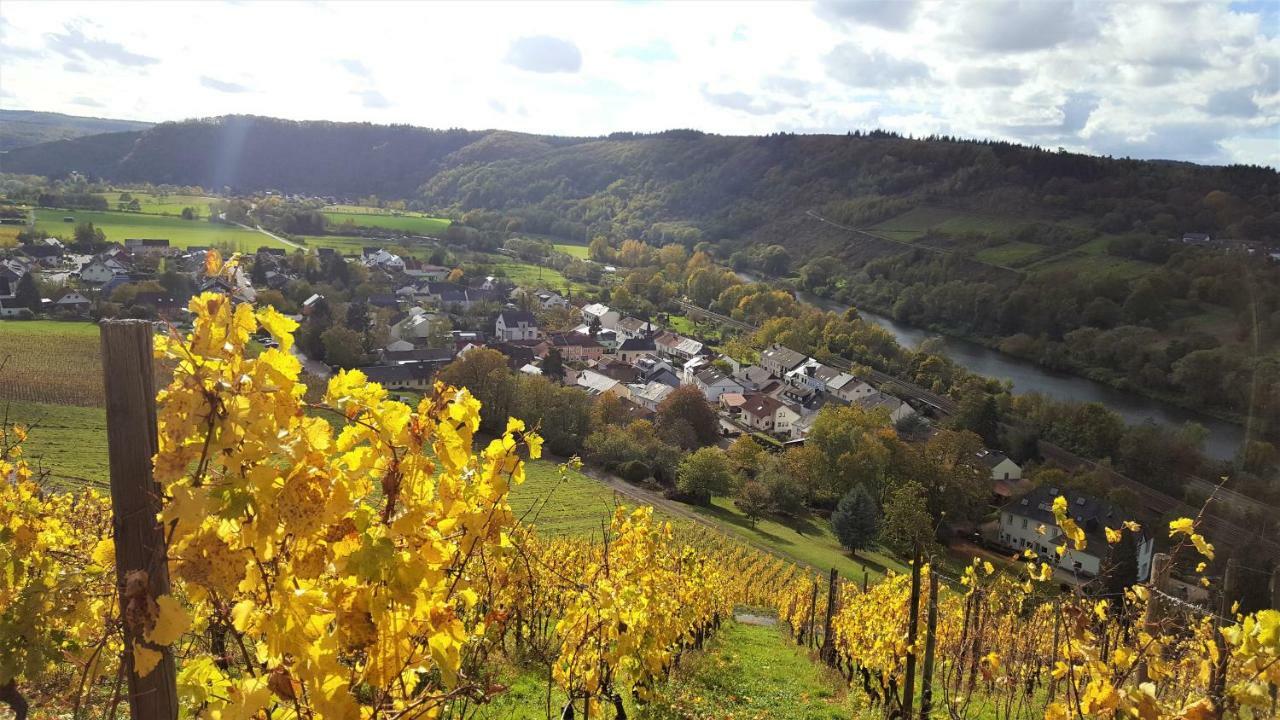 Zur Alten Rebe Ferienhaus Und Weingut كونز المظهر الخارجي الصورة