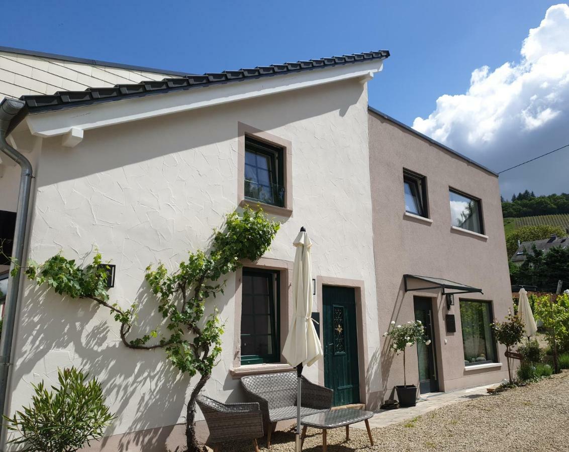 Zur Alten Rebe Ferienhaus Und Weingut كونز المظهر الخارجي الصورة