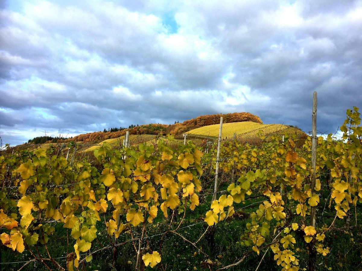 Zur Alten Rebe Ferienhaus Und Weingut كونز المظهر الخارجي الصورة